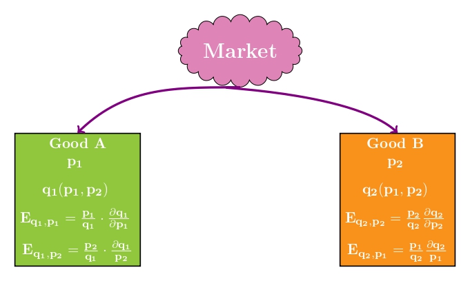 The market with two goods, where each one of them has its own price, demand and elasticity.